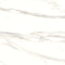 Blanco Oro Porcelain 24X24 Wall And Floor Tile